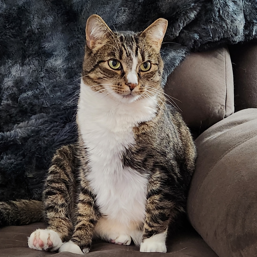 Hello! 💜💙💚 - Picture 8 of 16